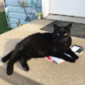 Meet your Posher, Darlene